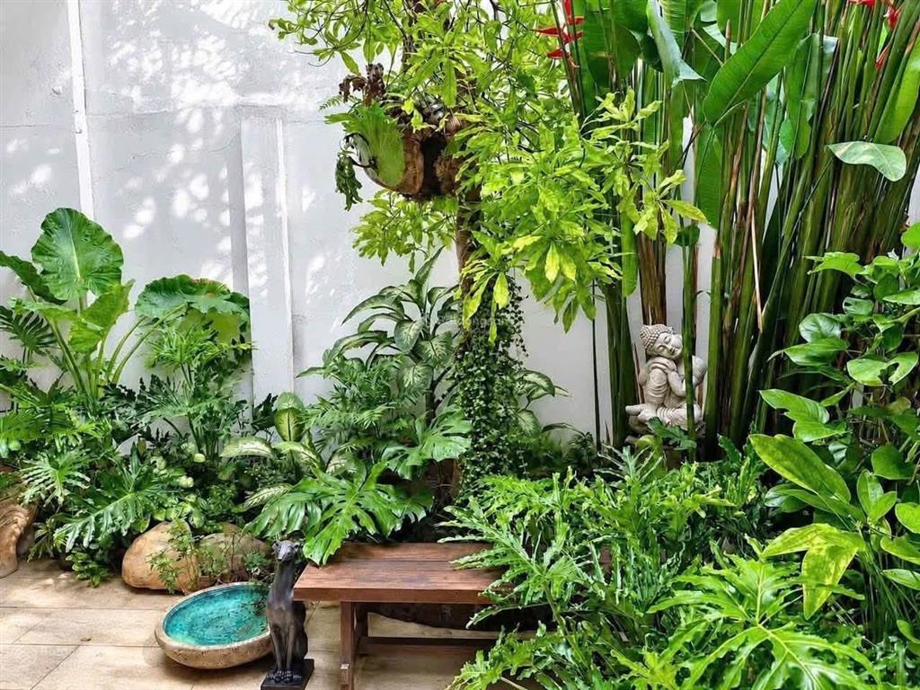 Bán biệt thự chữa lành cách mạng tháng tám, tân bình, 3 lầu, 5pn, 200m2 chỉ 37,5 tỷ