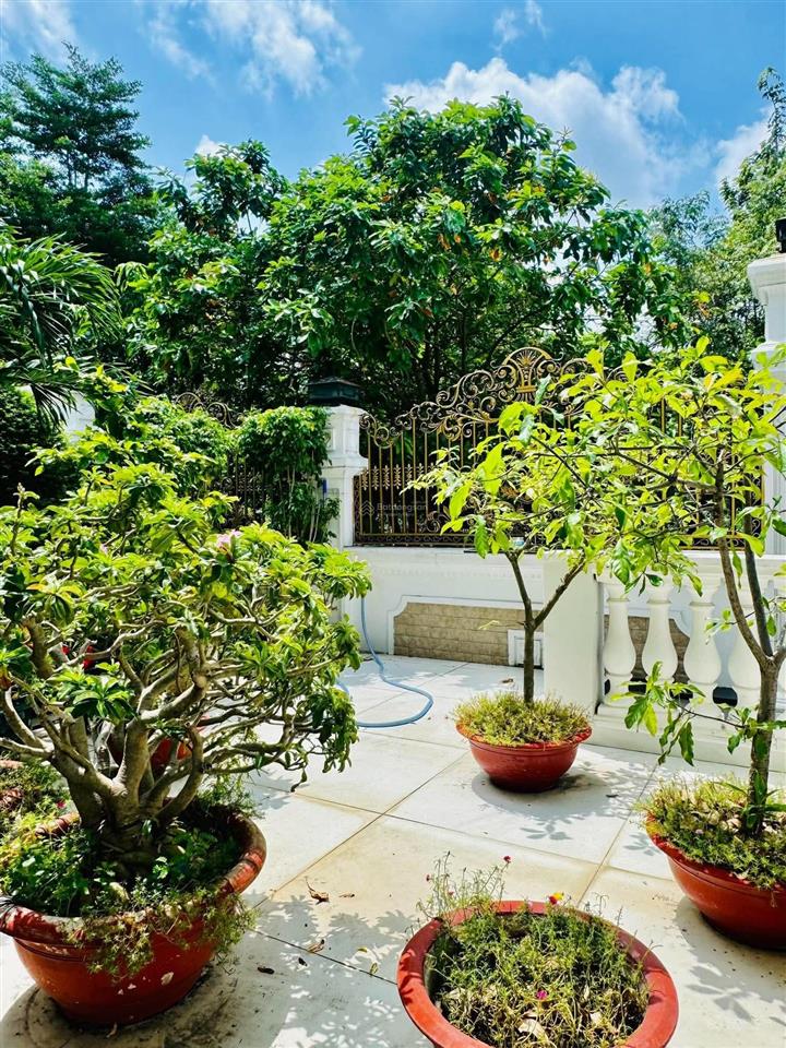 Bán biệt thự đơn lập cytylan nguyễn thị thập q7, hầm, 4 lầu, 370m2 chỉ 88 tỷ
