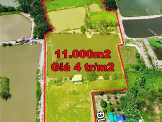 Bán đất ven sông nhơn đức nhà bè 11.000m2 đối diện t&t millennia phù hợp quán ăn sân vườn câu cá