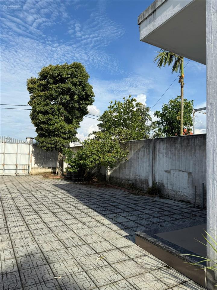 Bán nhà xưởng xã củ chi gần vành đai 3cao tốc mộc bài