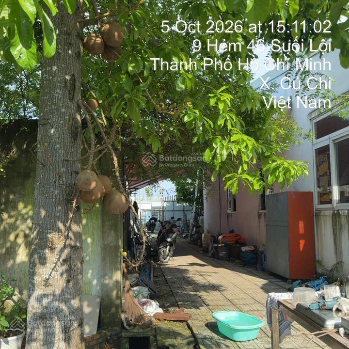 Bán nhà+xưởng+đất sân vườn xã củ chi, diện tích 1645m2