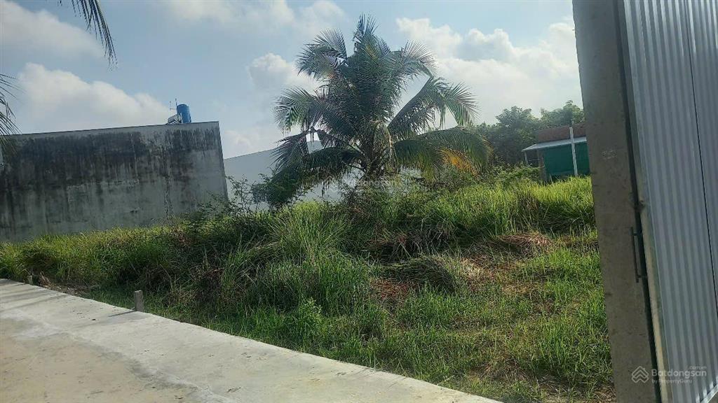 Bán đất nền chính chủ kcn tân hương