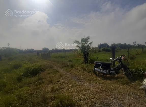 Siêu hời  đất 505m2 có 1,9 tỷ bình mỹ củ chi tp. hồ chí minh