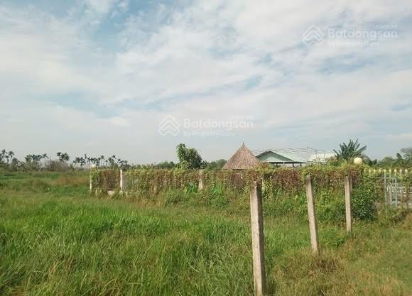 Siêu hời  đất 505m2 có 1,9 tỷ bình mỹ củ chi tp. hồ chí minh