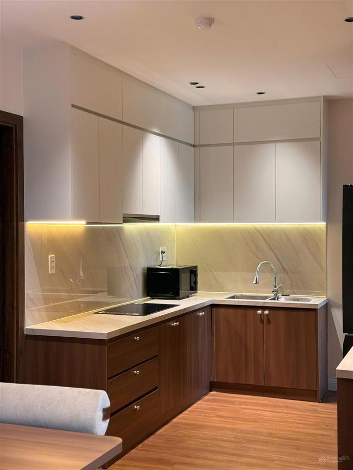 Cho thuê căn hộ vista residence 40a xô viết nghệ tĩnh, hải châu