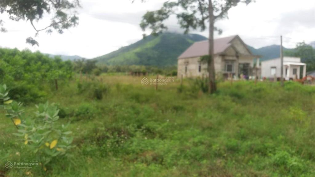 Chính chủ bán rẻ 20m ngang đất mặt tiền ql26, ninh tây, ninh hòa, khánh hòa