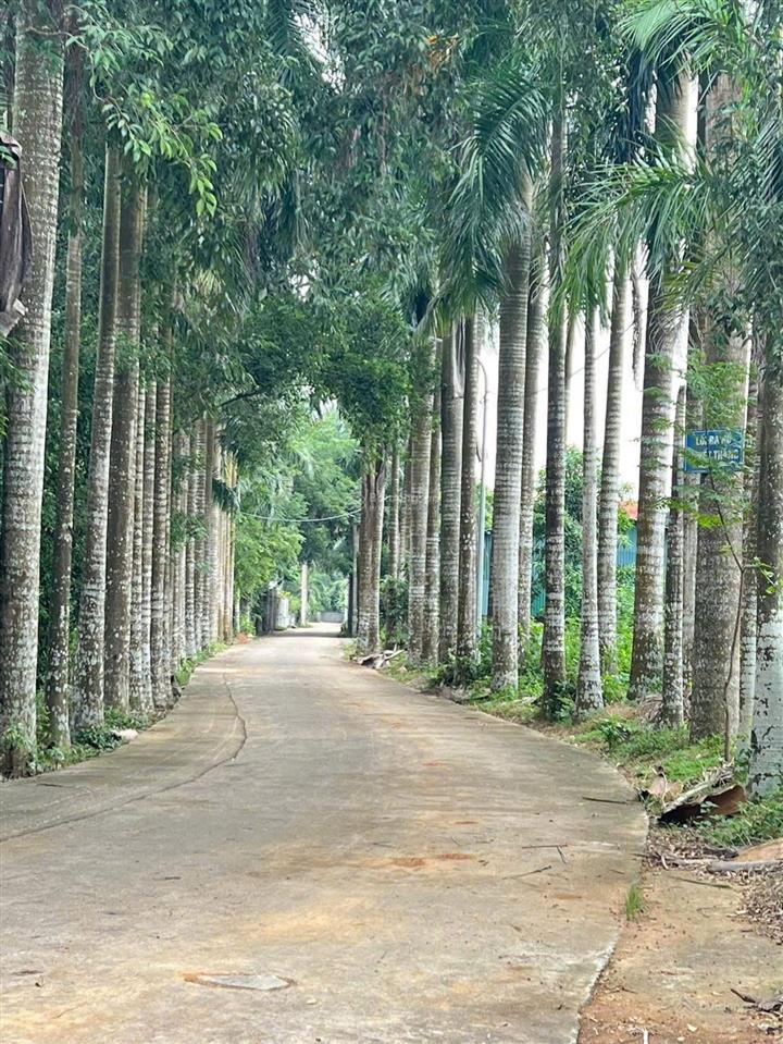 Em bán lô đất được bố vợ mua cho năm ngoái để lấy tiền làm ăn