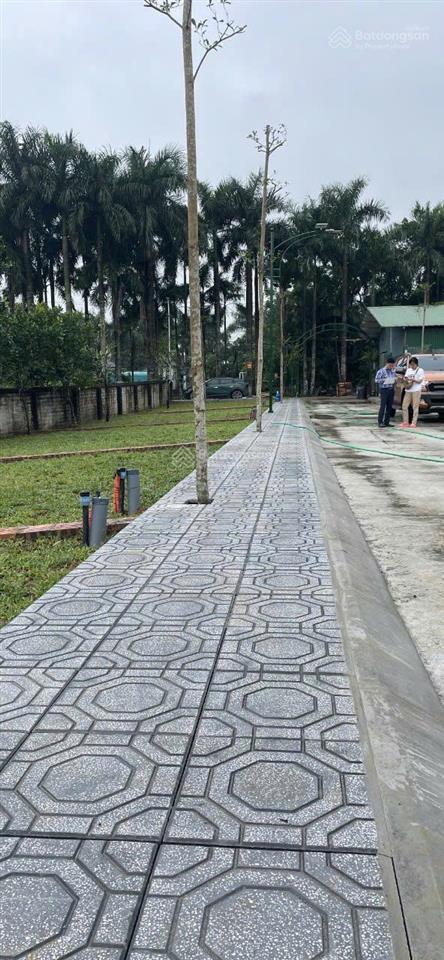 Em bán lô đất được bố vợ mua cho năm ngoái để lấy tiền làm ăn