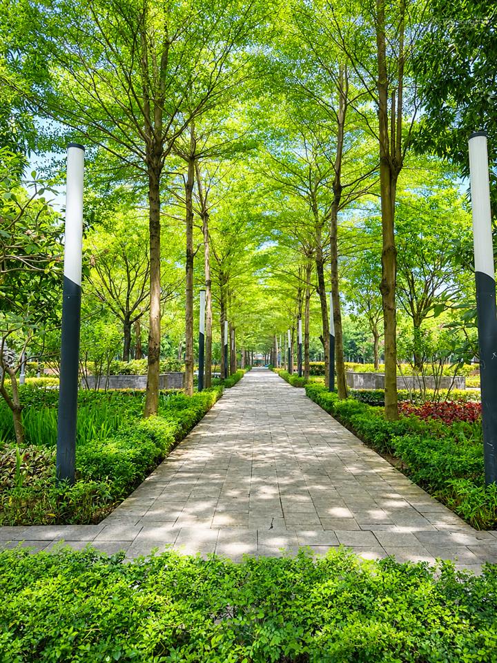 Hiếm bán biệt thự 415,5m2 khu k ciputra view trực diện công viên 65ha