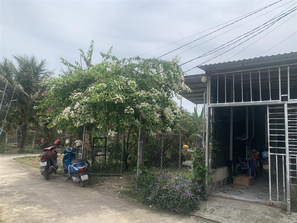 Cơ hội sở hữu đất rộng ngang 9m,có sẵn nhà cấp 4 ,tại diên khánh,giá ưu đãi 1,35 tỷ, dt171 m2