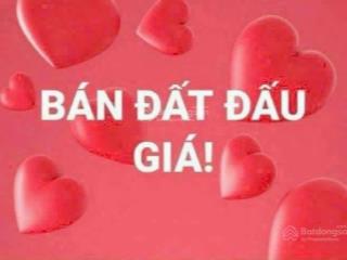 Bán đất đấu giá thanh lương bình minh hn