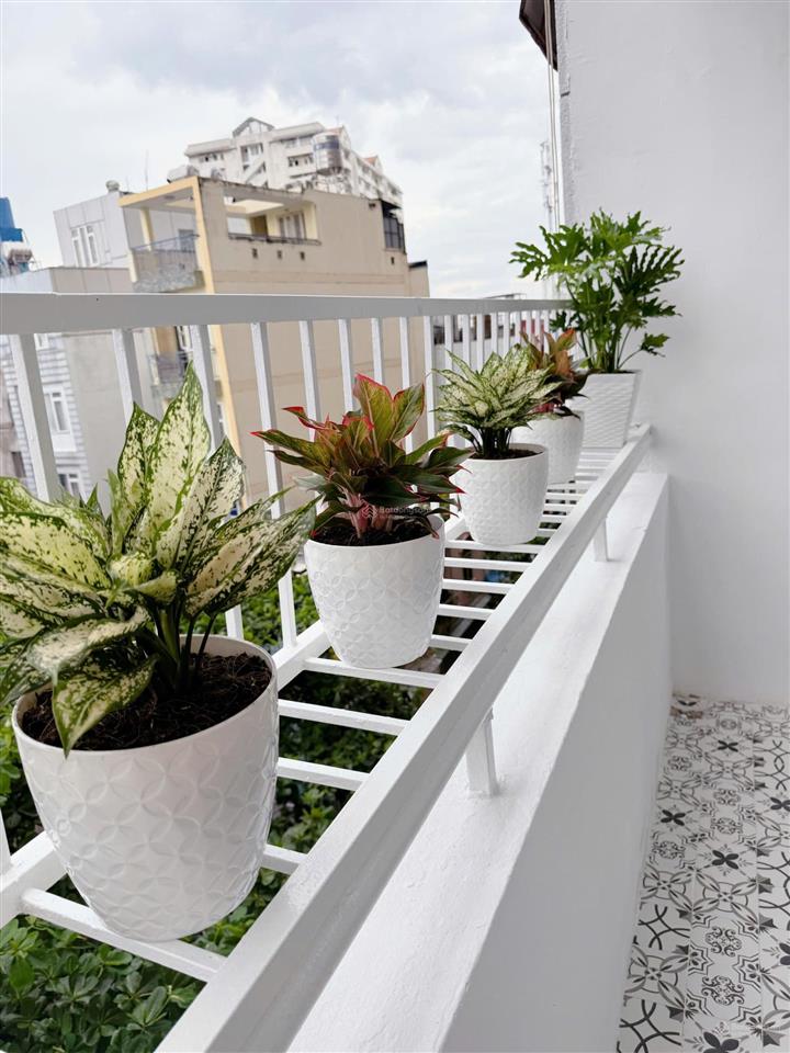 Chung cư ngô tất tố bán, nhà đẹp, 56m² giá 3 tỷ 450