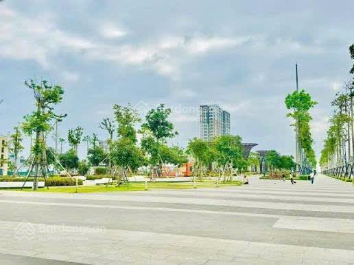 Tôi chính chủ bán đất tđc quảng trường biển sầm sơn trục dọc thông đường 18m, cách biển chỉ 100m