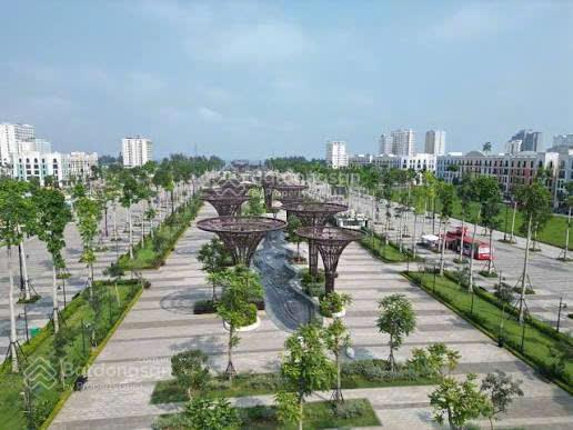 Tôi chính chủ bán đất tđc quảng trường biển sầm sơn trục dọc thông đường 18m, cách biển chỉ 100m