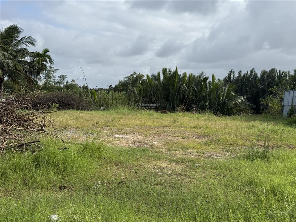 Cần bán đất hội an xây khách sạn 5  7 tầng, 724,9m2 view sông, có thiết kế, đ. nguyễn tri phương