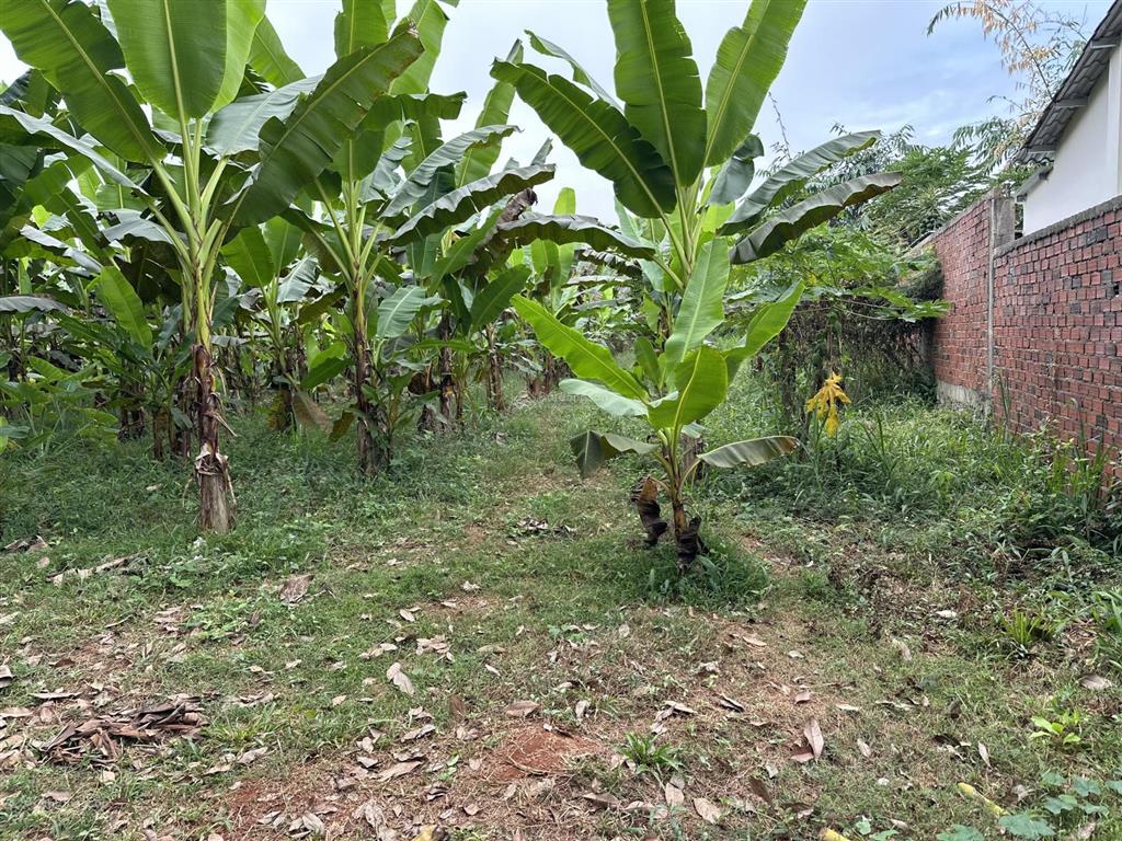 Đất nền 4357m2 tại đường 93, xã long phước, bà rịa, 5,4 tỷ hàng hot