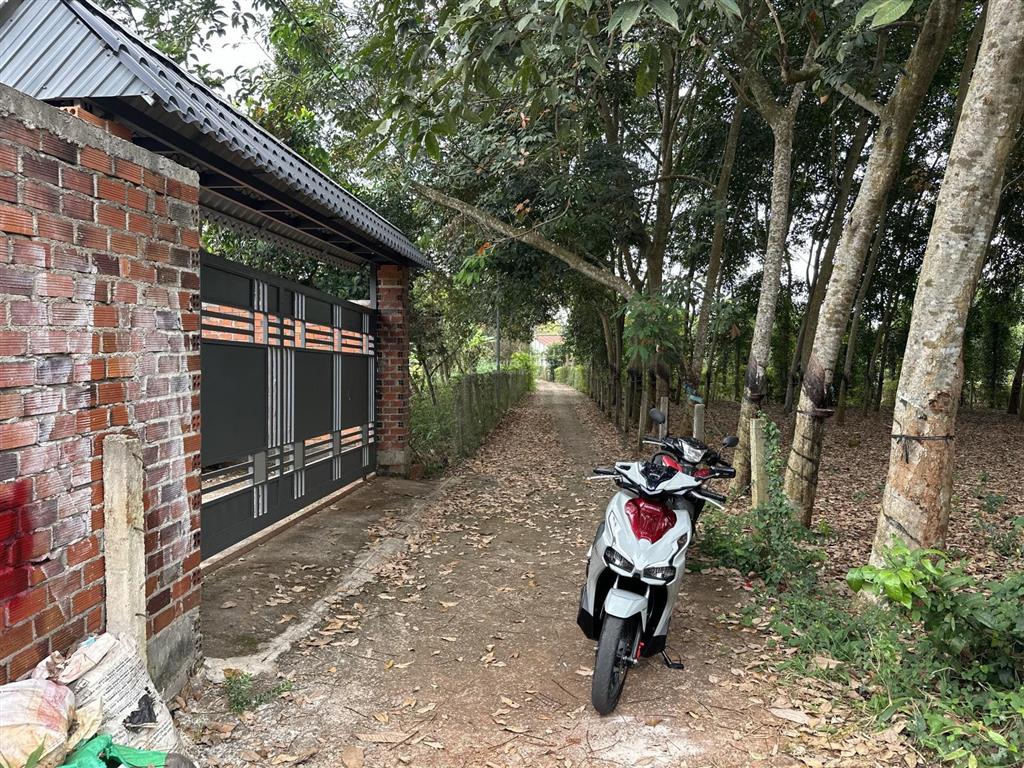 Đất nền 4357m2 tại đường 93, xã long phước, bà rịa, 5,4 tỷ hàng hot