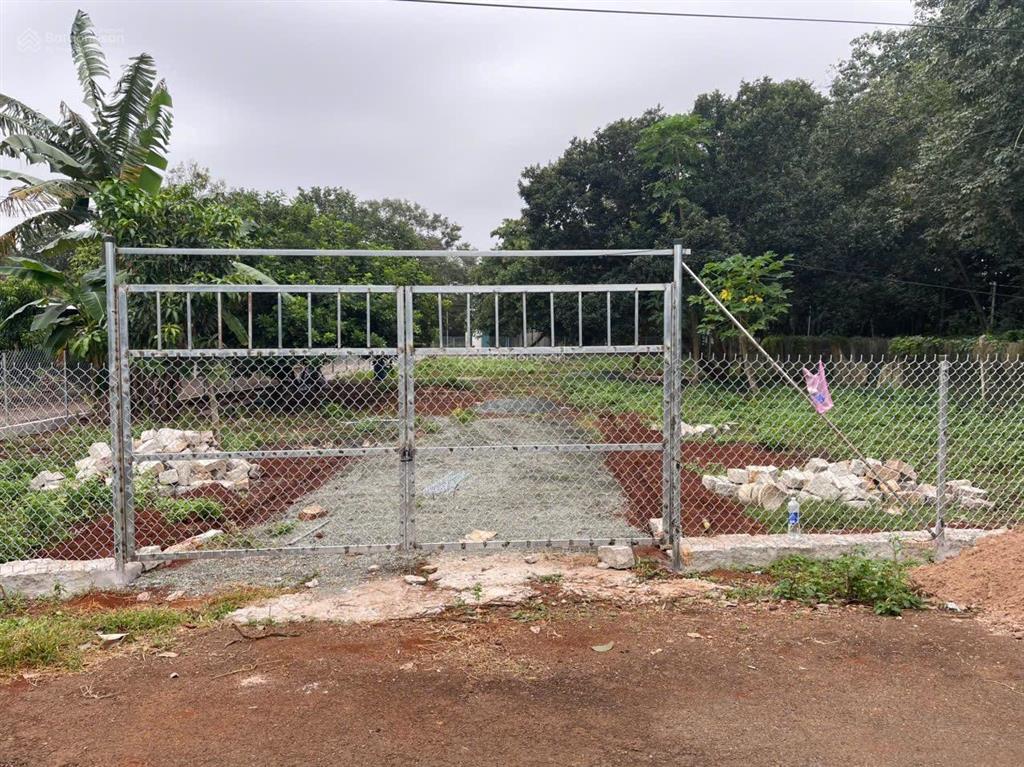 Cần bán lô đất sào mặt tiền đường nhựa xã long phước, brvt