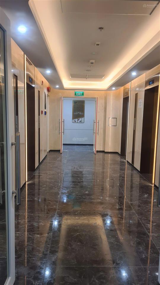 Chính chủ cho thuê 2n2vs  a3 lumiere cơ bản giá chỉ 11tr