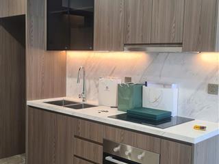 Chính chủ cho thuê 2n2vs  a3 lumiere cơ bản giá chỉ 11tr