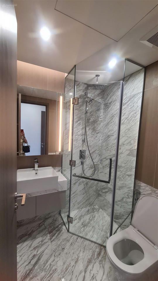 Chính chủ cho thuê 2n2vs  a3 lumiere cơ bản giá chỉ 11tr