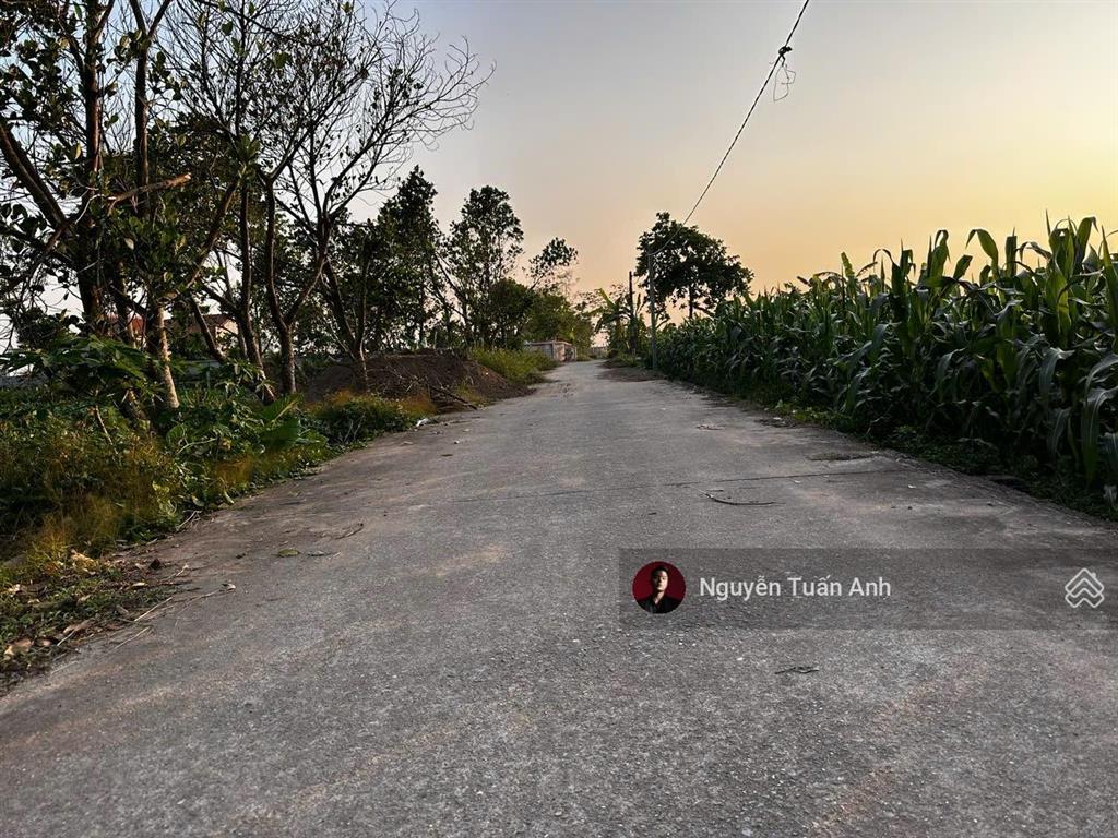 Bán gấp đất tại xã tống trân, phù cừ, hưng yên, 750 triệu, 121.6 m2