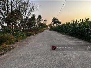 Bán gấp đất tại xã tống trân, phù cừ, hưng yên, 750 triệu, 121.6 m2