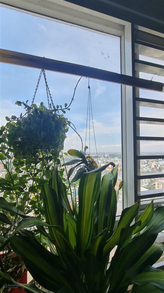 Bán chung cư the cbd gần uỷ ban quận 2 3pn, 2wc giá 4,4 tỷ bao thuế phí. ib 0901 199 *** zalo