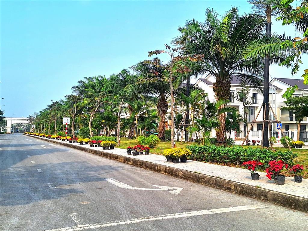 Biệt thự sl góc 277m² kđt centa vsip từ sơn. sở hữu với 6,5 tỷ (30%) ls 0% trong 24 tháng. ck cao.