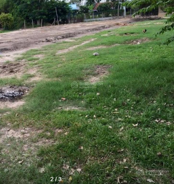 Cần bán đất lớn mặt tiền tỉnh lộ 15, đất nằm ngay trục giao thông chính an nhơn tây