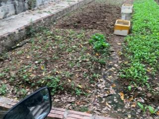 Duy nhất lô góc đẹp tại đức thượng  hoài đức  giá chỉ 8x triệu/m²  cực hiếm khu vực.