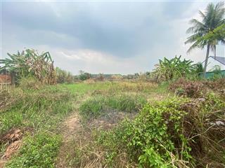 3000m có 300m thổ cư mặt tiền thích thiện hòa xã lê minh xuân phía bên kênh thích hợp làm nhà vườn