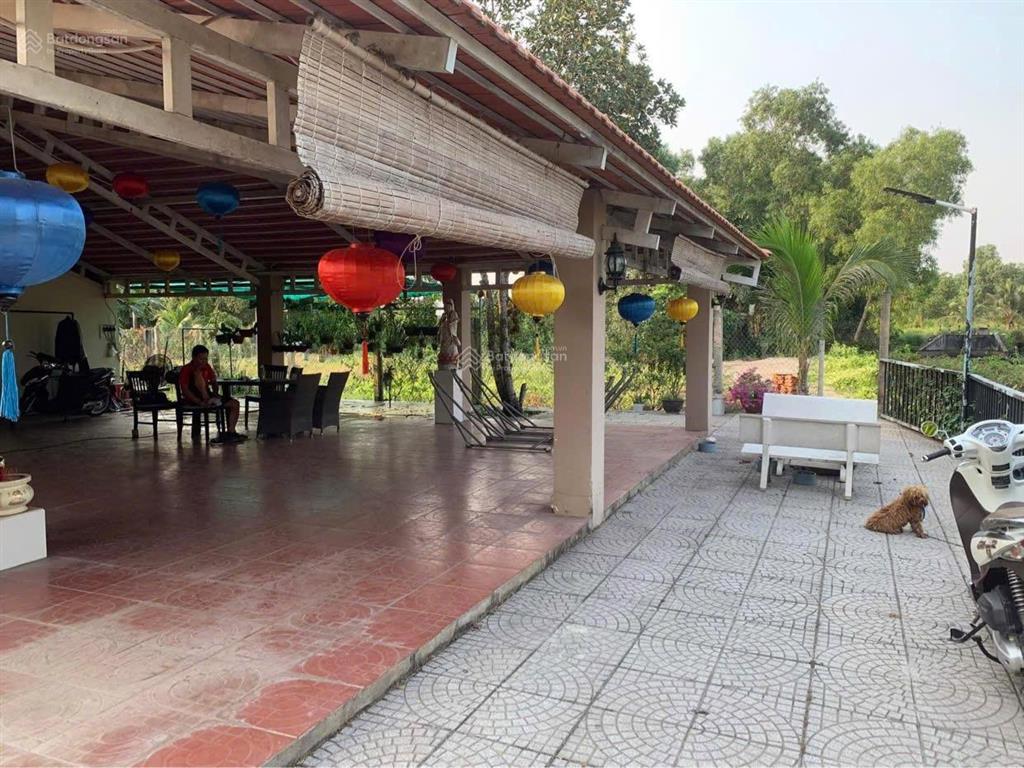 Nhà vườn xã tân nhựt bình chánh 1300m có 300m2 thổ cư