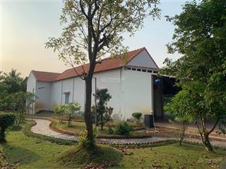 Nhà vườn xã tân nhựt bình chánh 1300m có 300m2 thổ cư