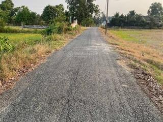Bán 2000m đất lúa mặt tiền nhựa đường láng cát, xã tân nhựt, bình chánh
