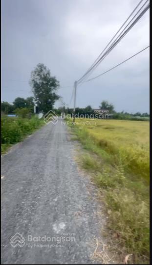 Bán 2000m đất lúa mặt tiền nhựa đường láng cát, xã tân nhựt, bình chánh