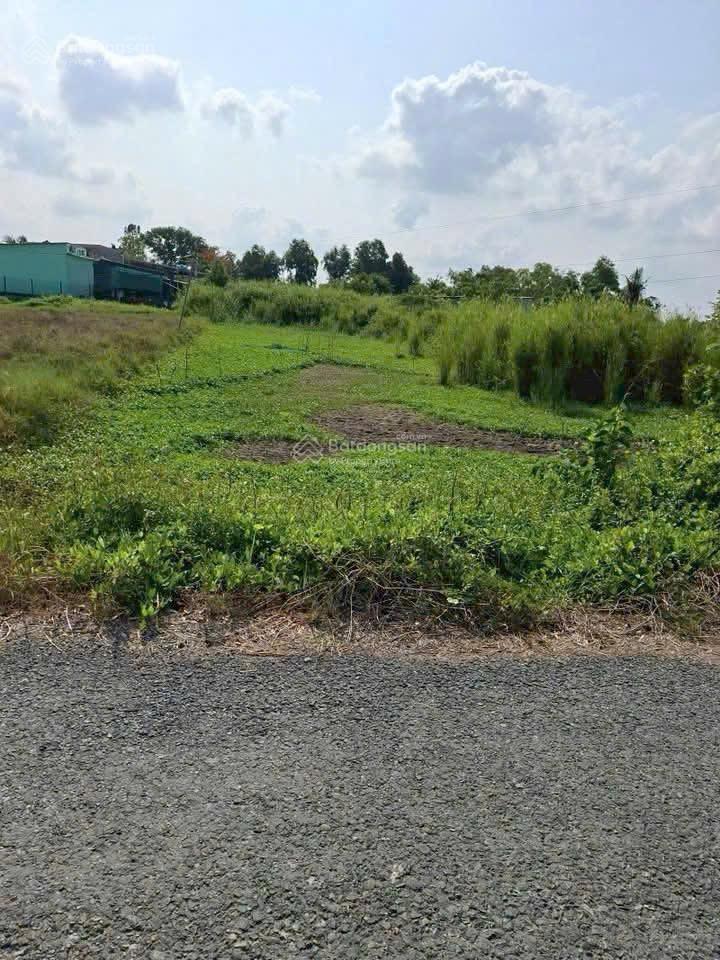 Bán 2000m đất lúa mặt tiền nhựa đường láng cát, xã tân nhựt, bình chánh