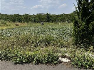 Chính chủ cần tiền bán gấp lô đất vị trí đẹp ngay xã lộc quảng, bảo lâm, lâm đồng