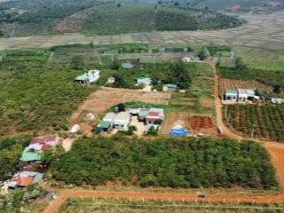Chính chủ cần bán gấp lô đất vườn giá đầu tư ngay xã đinh trang hòa, di linh, lâm đồng