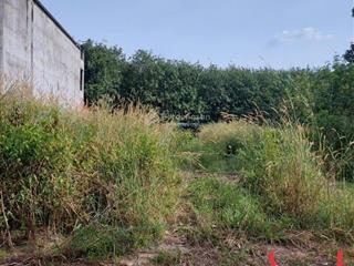 Chính chủ cần bán gấp lô đất vị trí đẹp giá rẻ ngay xã long hòa, dầu tiếng, bình dương