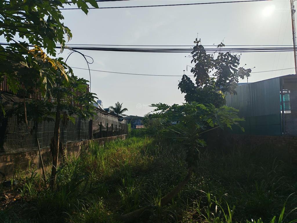 Chính chủ cần bán gấp lô đất lô đất mt đường nhựa bàu mây, an tịnh, trảng bàng, tây ninh