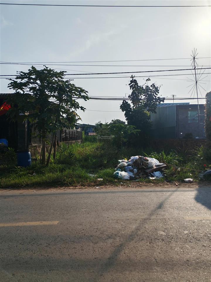 Chính chủ cần bán gấp lô đất lô đất mt đường nhựa bàu mây, an tịnh, trảng bàng, tây ninh