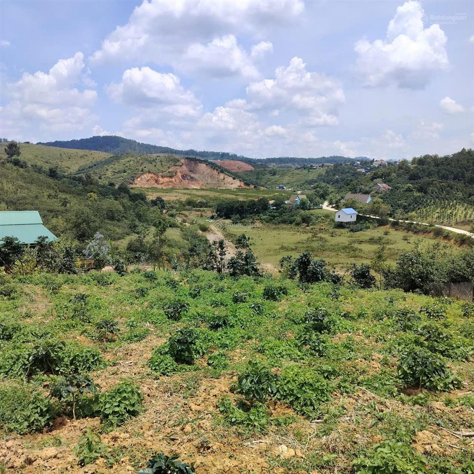 Chính chủ cần bán gấp lô đất 2 mặt tiền đường ngay xã đạ nhim, lạc dương, lâm đồng