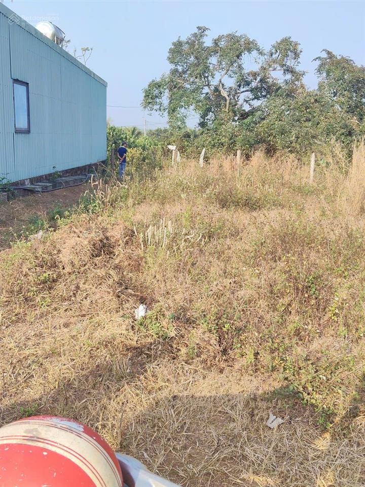 Chính chủ cần bán gấp lô đất giá công nhân ngay xã trung hòa, trảng bom , đồng nai