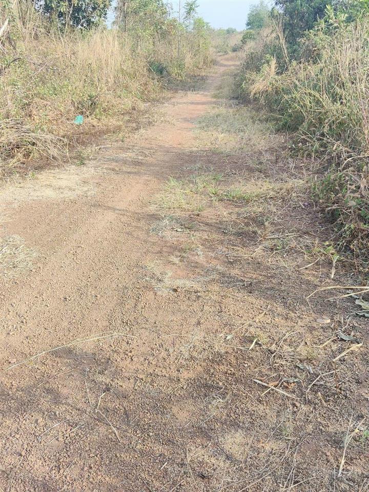 Chính chủ cần bán gấp lô đất giá công nhân ngay xã trung hòa, trảng bom , đồng nai