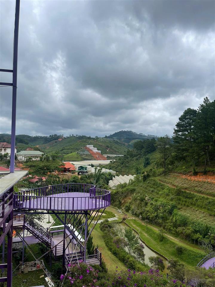 Chính chủ cần bán khu nghỉ dưỡng có view đẹp suối quanh năm ngay xã lát, lạc dương, lâm đồng