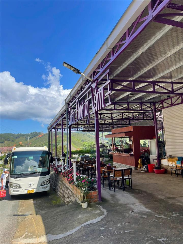 Chính chủ cần bán khu nghỉ dưỡng có view đẹp suối quanh năm ngay xã lát, lạc dương, lâm đồng