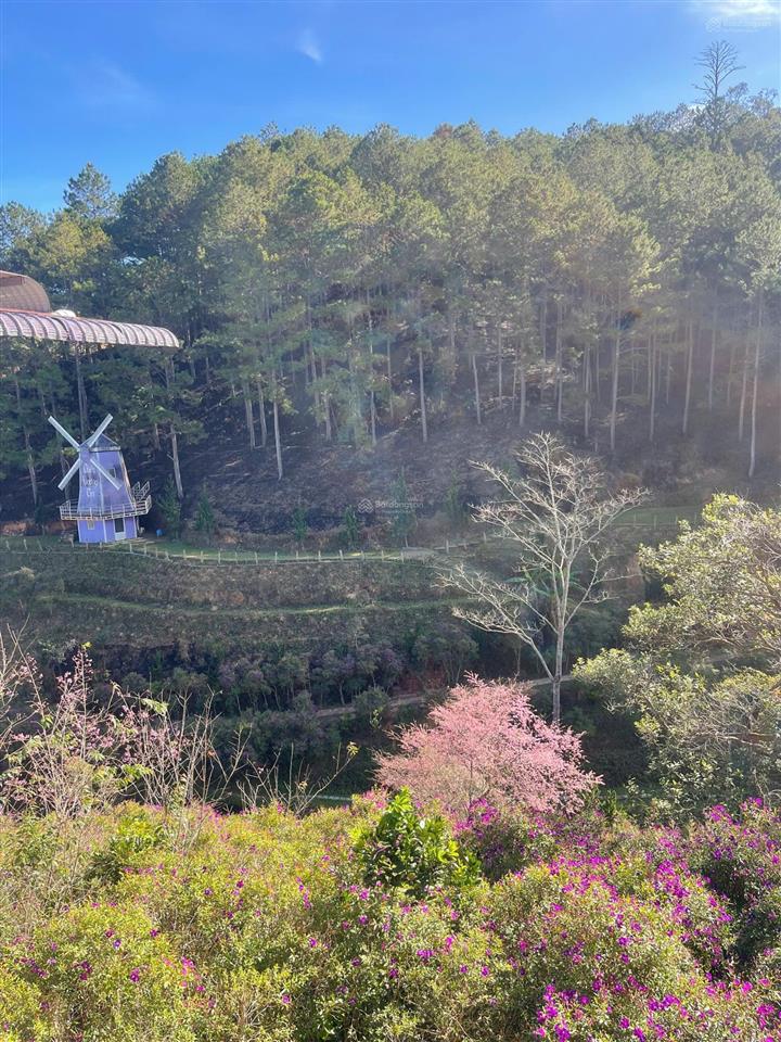 Chính chủ cần bán khu nghỉ dưỡng có view đẹp suối quanh năm ngay xã lát, lạc dương, lâm đồng