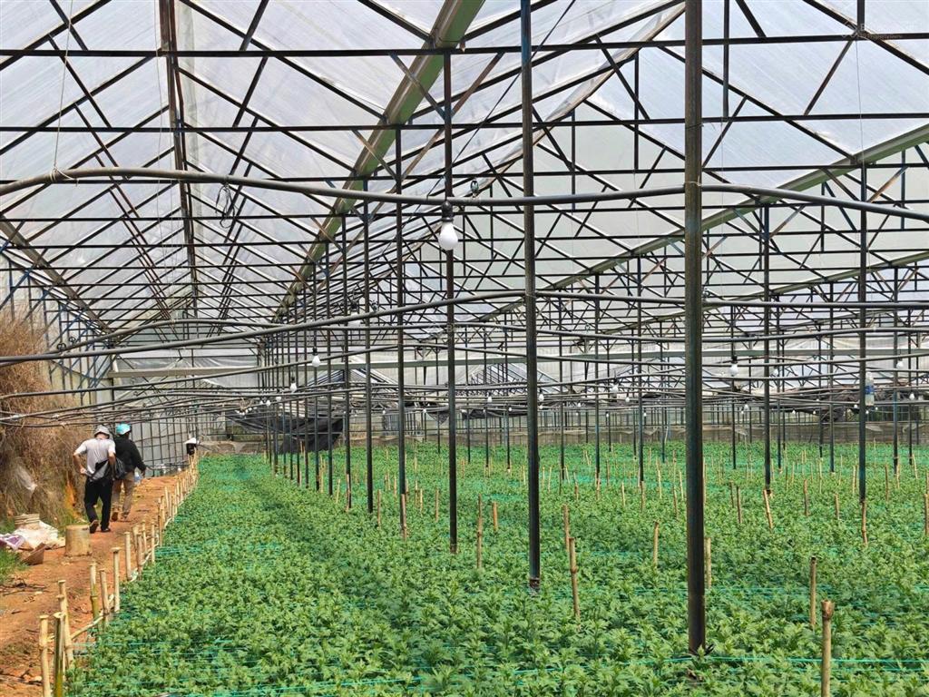 Chính chủ cần bán gấp lô đất sào vị trí đẹp tiềm năng ngay đan kia, lạc dương, lâm đồng