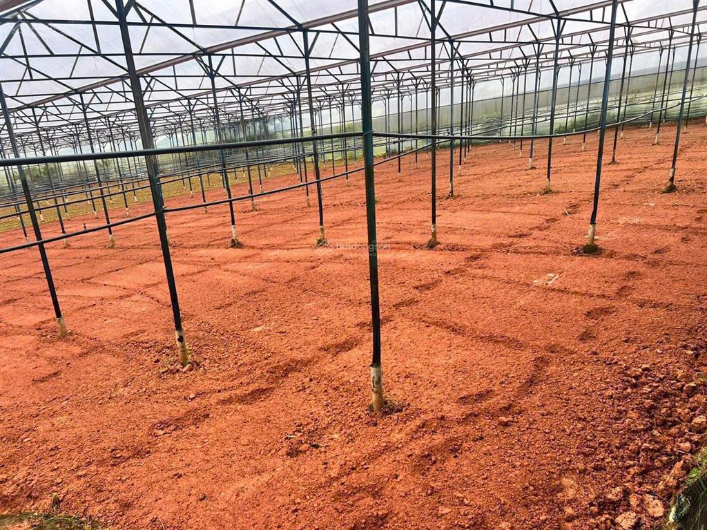 Chính chủ cần bán gấp lô đất sào vị trí đẹp tiềm năng ngay đan kia, lạc dương, lâm đồng